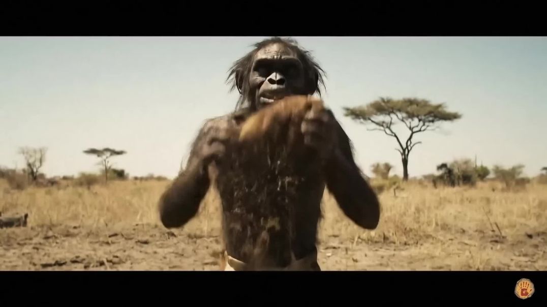 Life 6.3 Million Years Ago _ Early Human Survival & Hominid Evolution_ The Memory of Stone